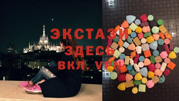 прущие грибы Новодвинск