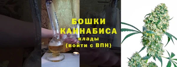 прущие грибы Новодвинск