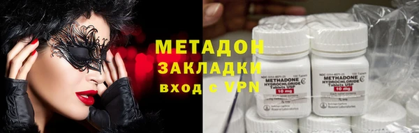 прущие грибы Новодвинск