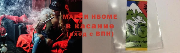 прущие грибы Новодвинск