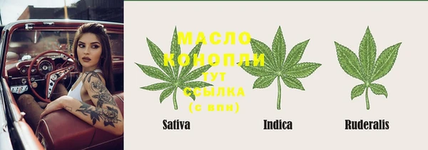 прущие грибы Новодвинск