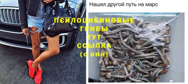 спайс Новозыбков
