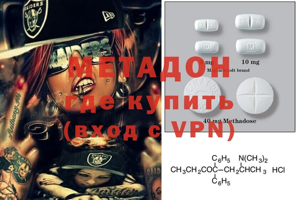 прущие грибы Новодвинск