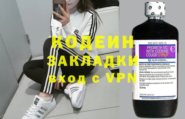 прущие грибы Новодвинск
