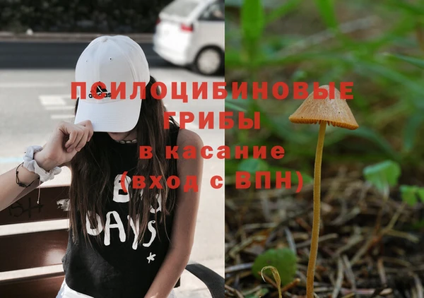 спайс Новозыбков