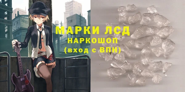 прущие грибы Новодвинск