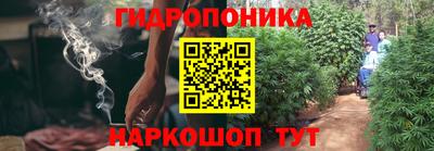 ешки Гагарин