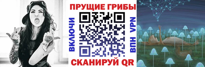 продажа наркотиков  Югорск  Псилоцибиновые грибы Psilocybine cubensis 
